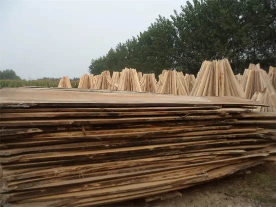 AA Grade and Size of 1220mm*2440mm*18mm Paulownia Wood Edge Glued Panels 