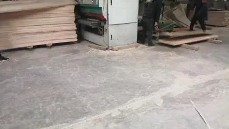 Paulownia Edge Glued Panels with 18X1220X2440mm Cutting Boards with Factory Price 