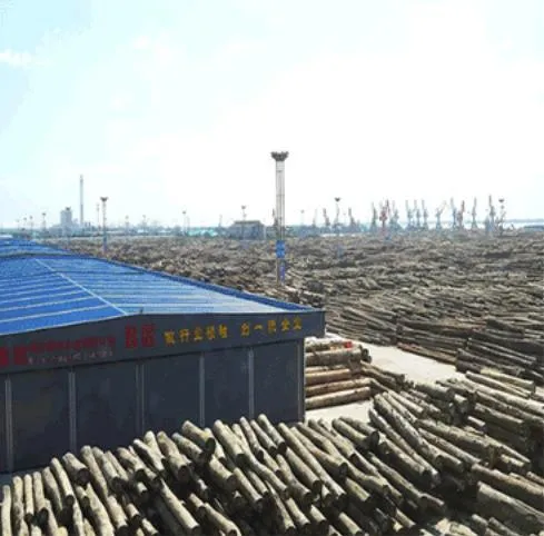 Paulownia Wood Solid Wood Wood Price Wood Surfboard Closet Balsa Wood Paulownia Wood Solid Wood Wood 